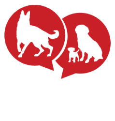guarderia canina